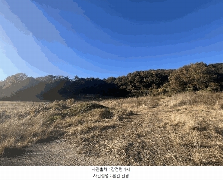 2025타경51645 전라남도 무안군 몽탄면 봉명리 699-11 농지 경매 이미지