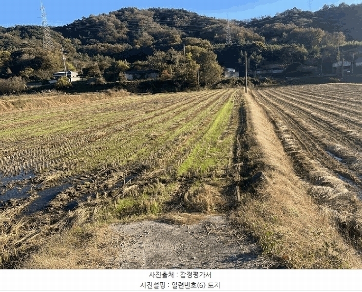 2025타경51645 전라남도 무안군 몽탄면 봉명리 699-11 농지 경매 이미지