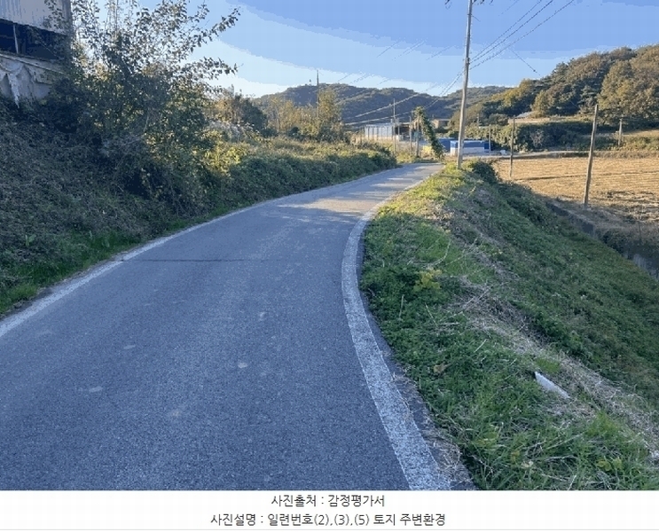 2025타경51645 전라남도 무안군 몽탄면 봉명리 491 농지 경매 이미지