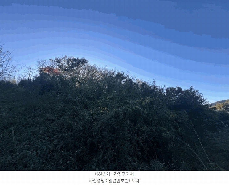 2025타경51645 전라남도 무안군 몽탄면 봉명리 491 농지 경매 이미지