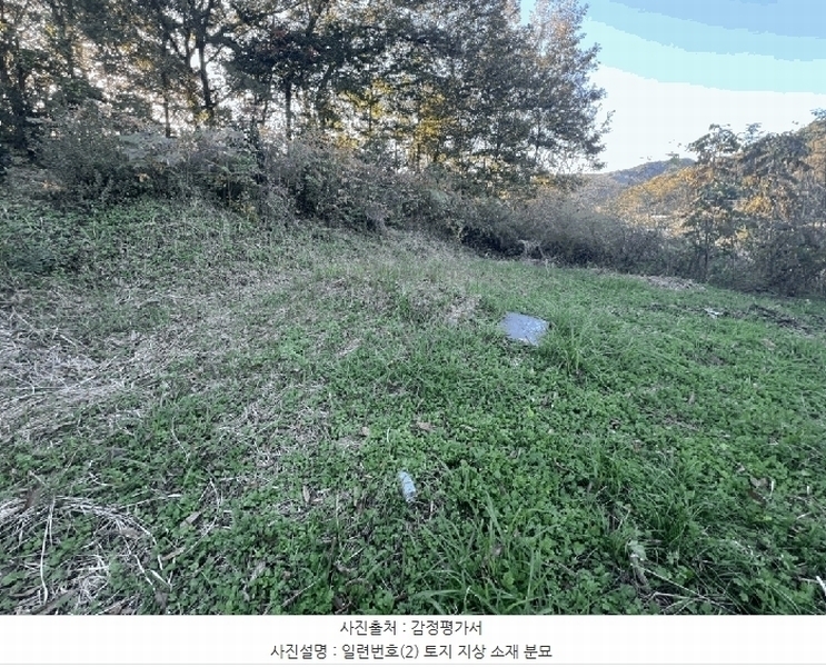 2025타경51645 전라남도 무안군 몽탄면 봉명리 491 농지 경매 이미지
