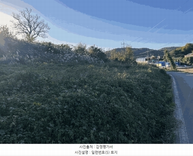 2025타경51645 전라남도 무안군 몽탄면 봉명리 491 농지 경매 이미지