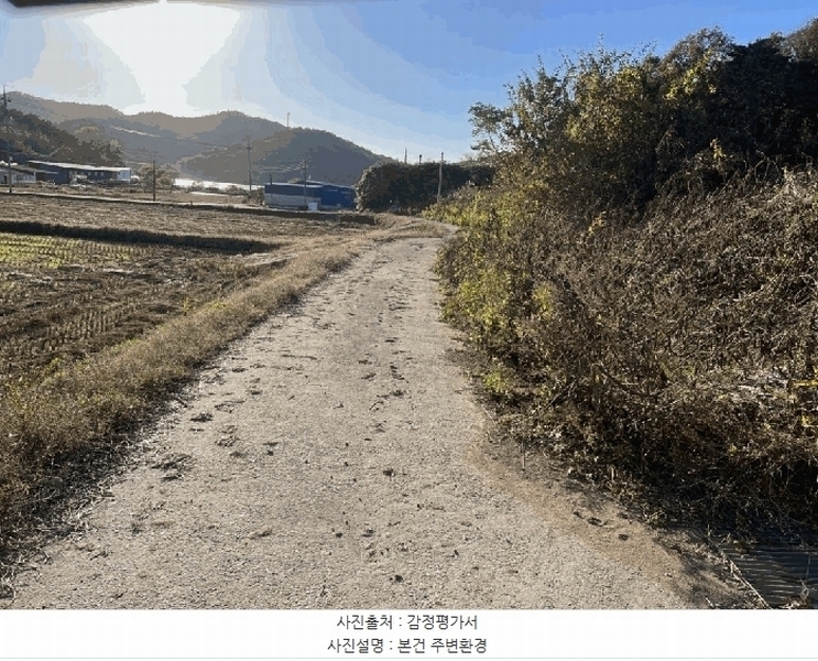 2025타경51645 전라남도 무안군 몽탄면 봉명리 491 농지 경매 이미지