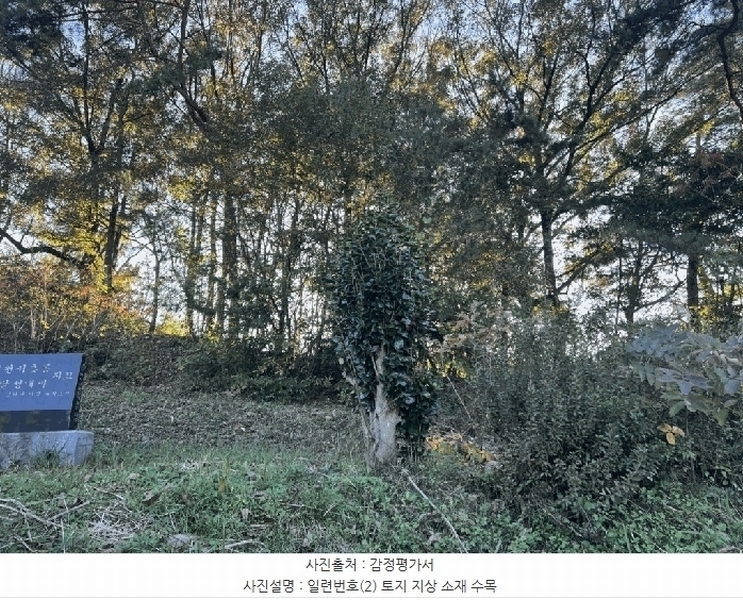 2025타경51645 전라남도 무안군 몽탄면 봉명리 491 농지 경매 이미지