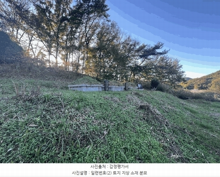 2025타경51645 전라남도 무안군 몽탄면 봉명리 491 농지 경매 이미지