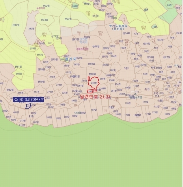 2025타경51411 전라남도 신안군 안좌면 박지리 242 농지 경매 이미지