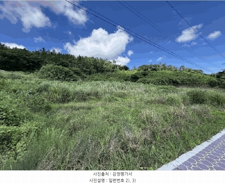 2025타경51411 전라남도 신안군 안좌면 박지리 242 농지 경매 이미지