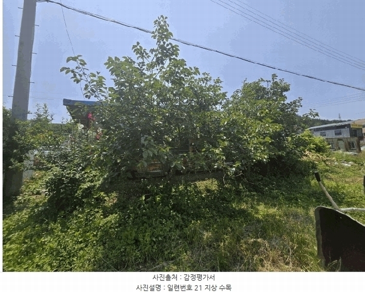 2025타경51166 전라남도 무안군 삼향읍 남악리 107-5 농지 경매 이미지