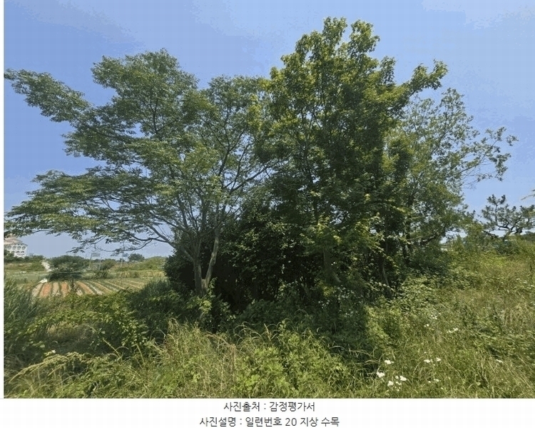 2025타경51166 전라남도 무안군 삼향읍 남악리 107-5 농지 경매 이미지