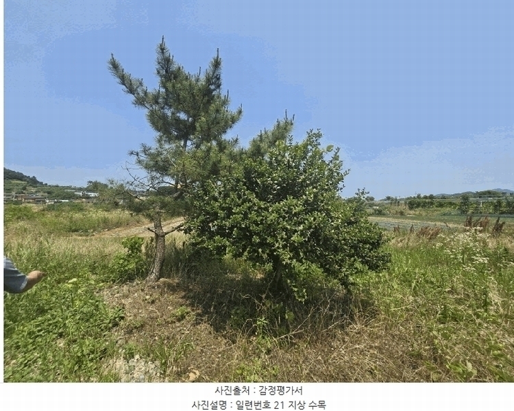 2025타경51166 전라남도 무안군 삼향읍 남악리 107-5 농지 경매 이미지
