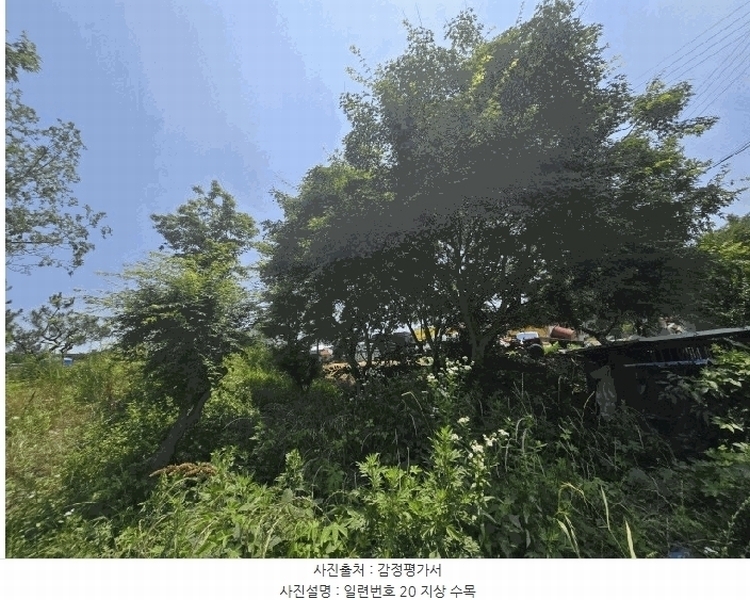 2025타경51166 전라남도 무안군 삼향읍 남악리 107-5 농지 경매 이미지