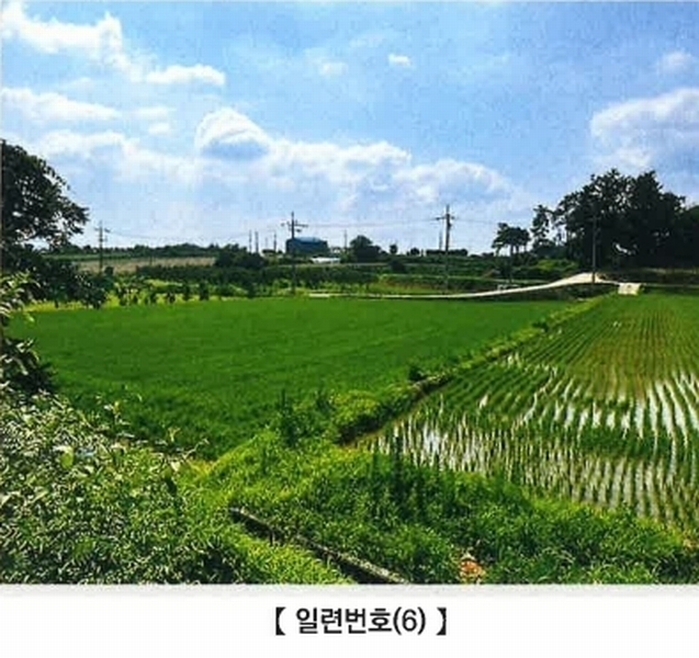 2025타경425 전라남도 영암군 시종면 신흥리 1438-8 농지 경매 이미지