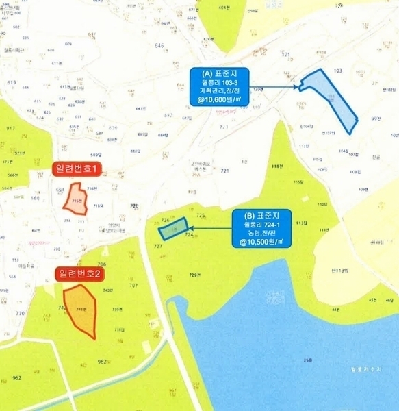 2025타경425 전라남도 영암군 시종면 월롱리 715 농지 경매 이미지