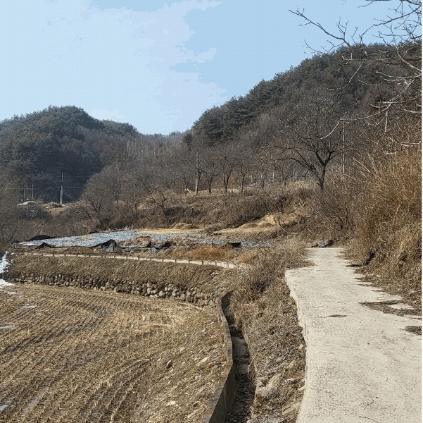 2025타경10800 경상북도 김천시 증산면 평촌리 330 농지 경매 이미지