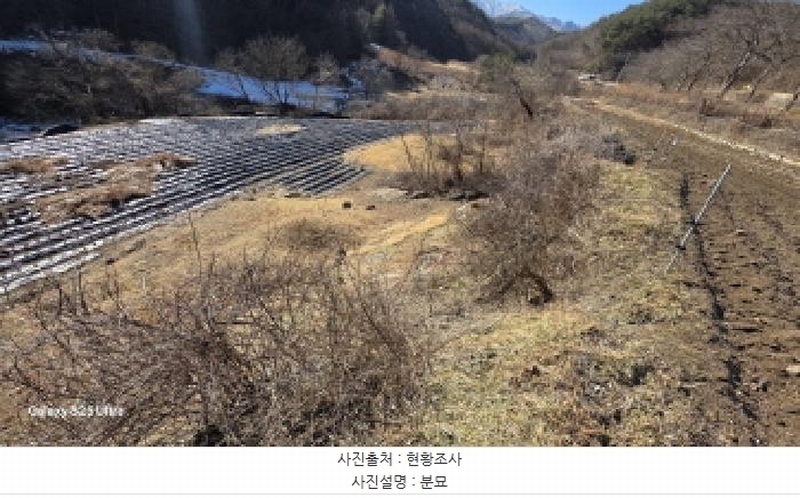 2025타경10800 경상북도 김천시 증산면 평촌리 330 농지 경매 이미지
