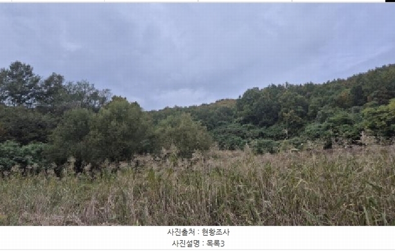 2025타경296 강원특별자치도 고성군 현내면 사천리 산17-2 임야 경매 이미지