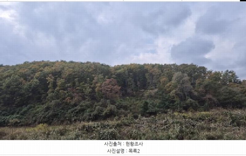 2025타경296 강원특별자치도 고성군 현내면 명파리 374-2 임야 경매 이미지