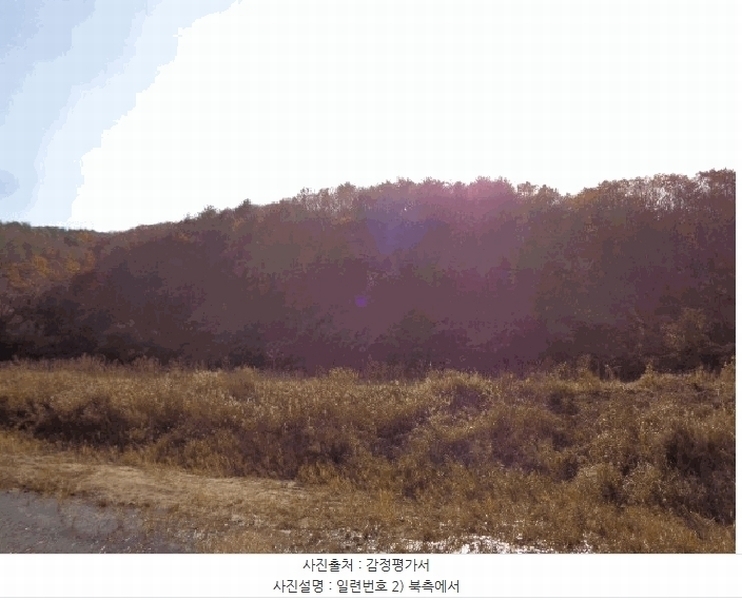 2025타경296 강원특별자치도 고성군 현내면 명파리 374-2 임야 경매 이미지