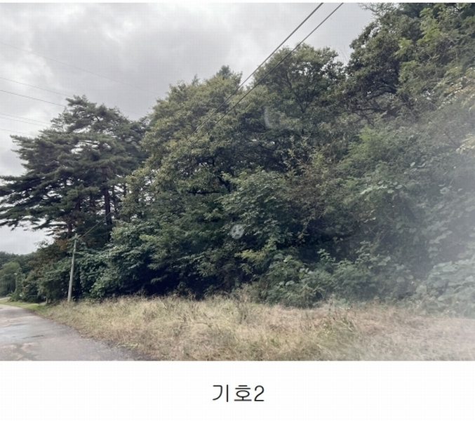 2025타경10376 강원특별자치도 양양군 현남면 견불리 112 농지 경매 이미지