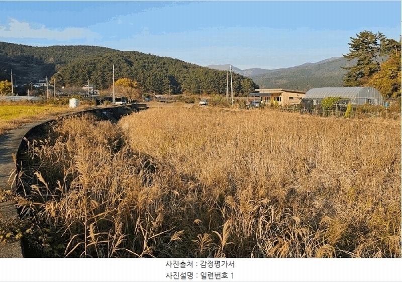 2025타경22205 경상남도 거제시 동부면 부춘리 799-2 농지 경매 이미지
