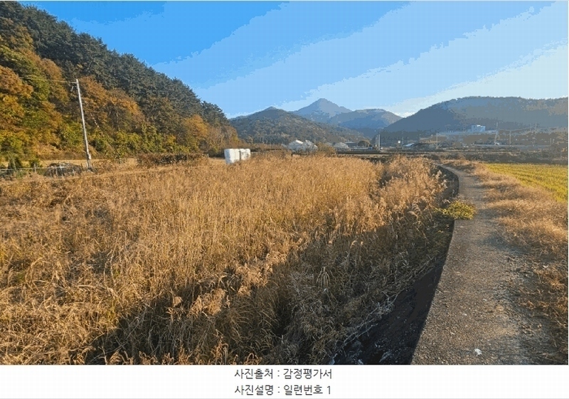 2025타경22205 경상남도 거제시 동부면 부춘리 799-2 농지 경매 이미지
