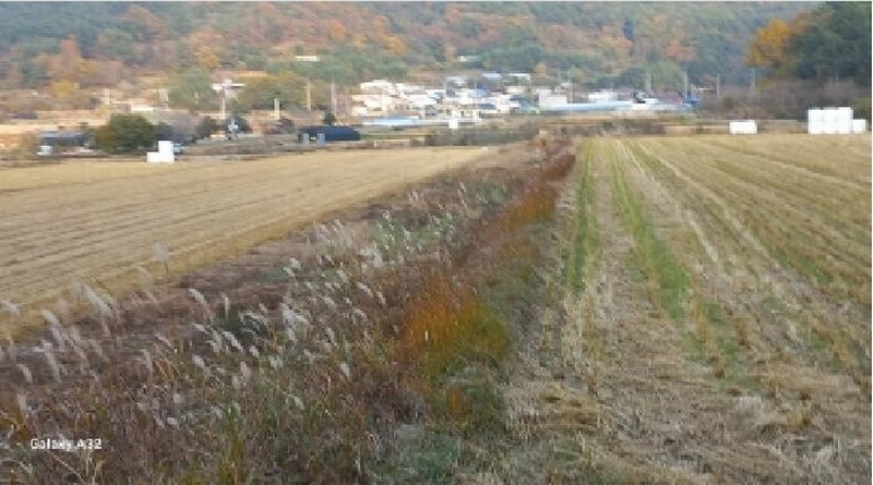 2025타경22205 경상남도 거제시 동부면 부춘리 378-12 농지 경매 이미지