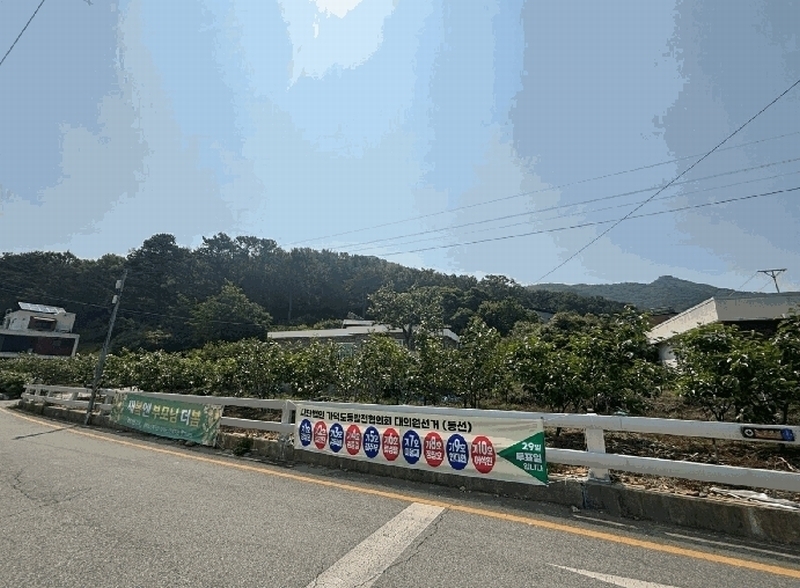 2025타경101442 부산광역시 강서구 동선동 산11 임야 경매 이미지