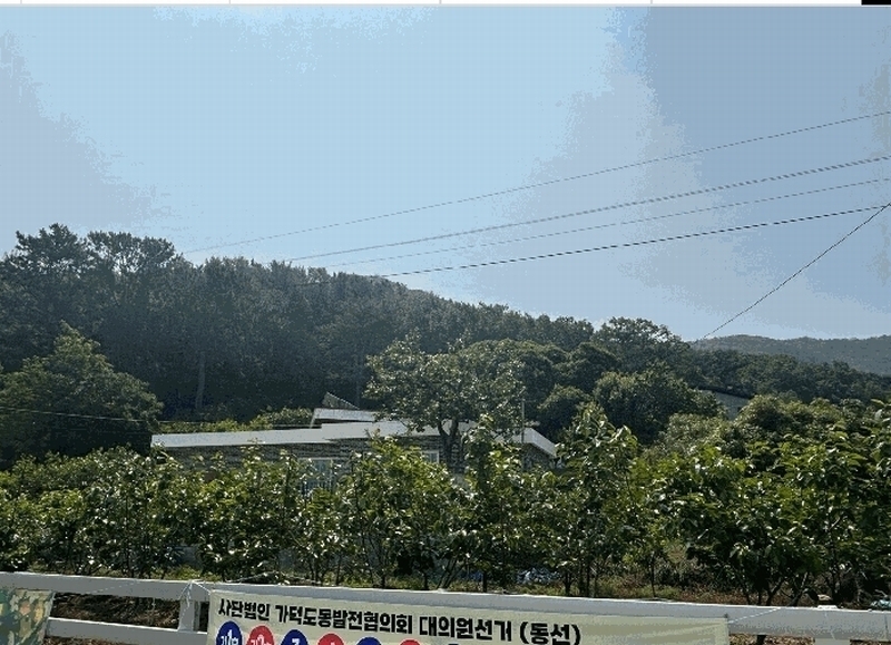 2025타경101442 부산광역시 강서구 동선동 179 대지 경매 이미지