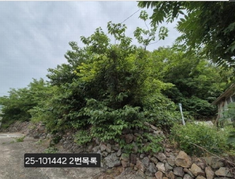 2025타경101442 부산광역시 강서구 동선동 179 대지 경매 이미지