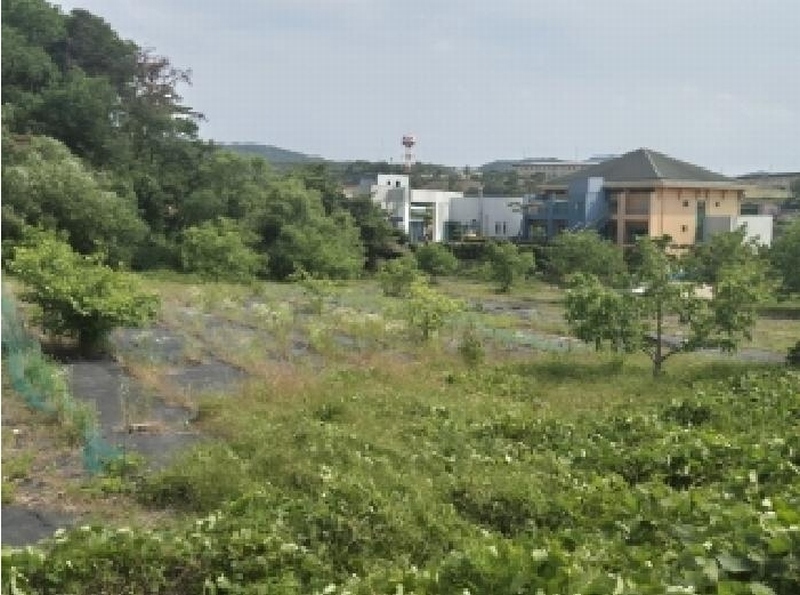 2025타경3820 경상북도 포항시 남구 오천읍 세계리 611-9 농지 경매 이미지
