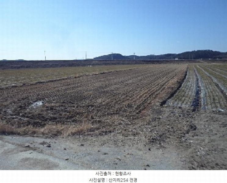 2025타경10138 경상남도 창녕군 장마면 산지리 254 농지 경매 이미지