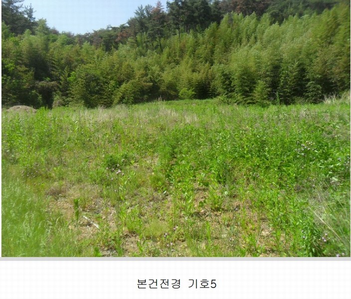 2024타경3171 경상남도 밀양시 청도면 구기리 311 농지 경매 이미지