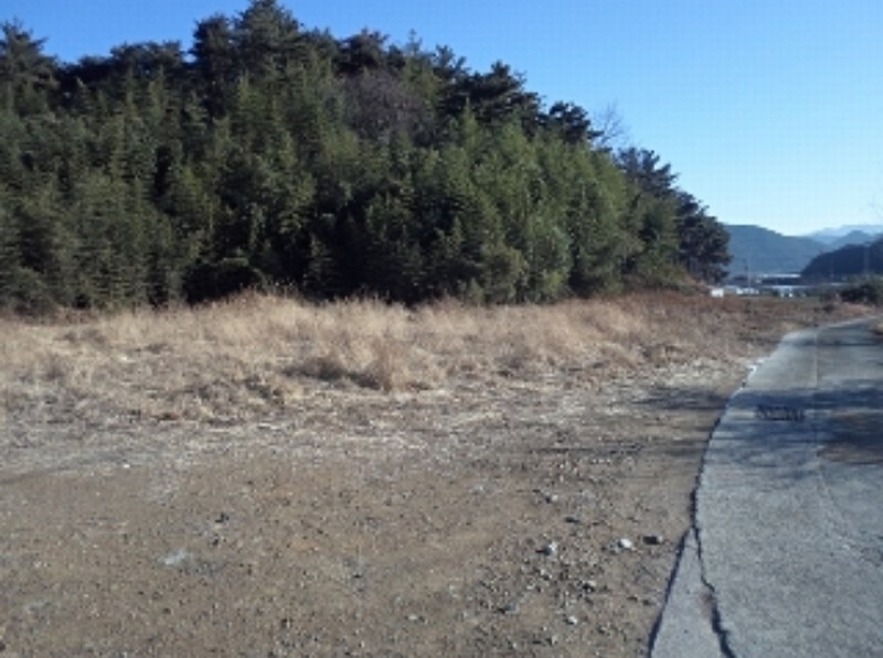 2024타경3171 경상남도 밀양시 청도면 구기리 311 농지 경매 이미지