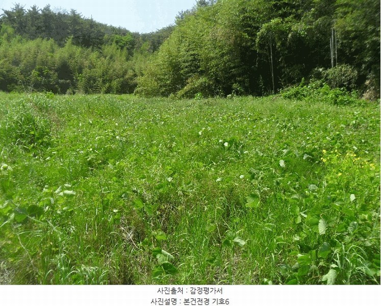 2024타경3171 경상남도 밀양시 청도면 구기리 311 농지 경매 이미지