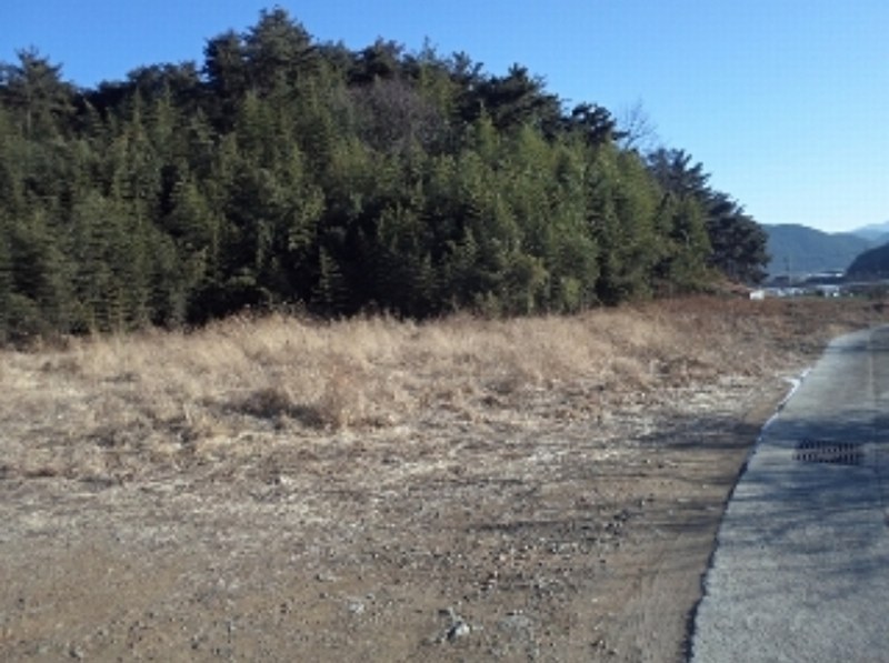 2024타경3171 경상남도 밀양시 청도면 구기리 311 농지 경매 이미지