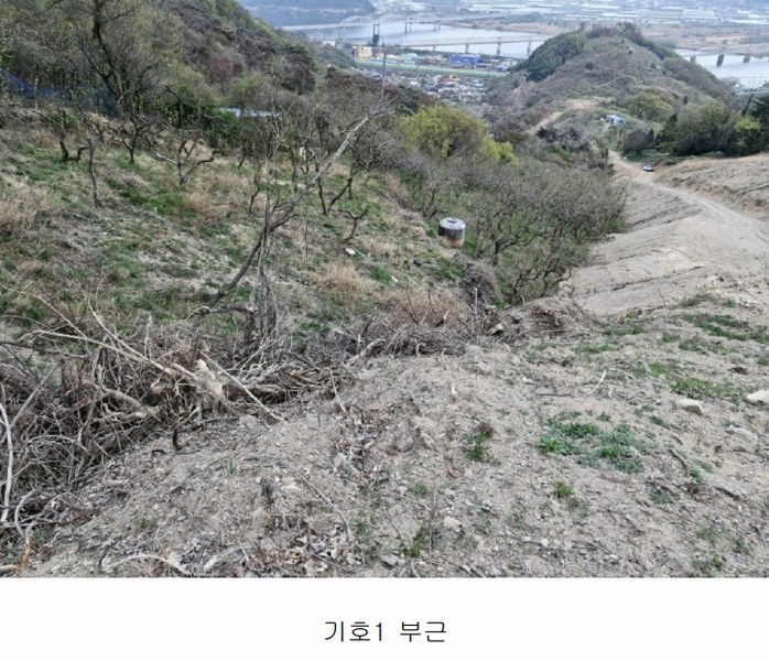 2023타경12826 경상남도 밀양시 삼랑진읍 삼랑리 201 농지 경매 이미지