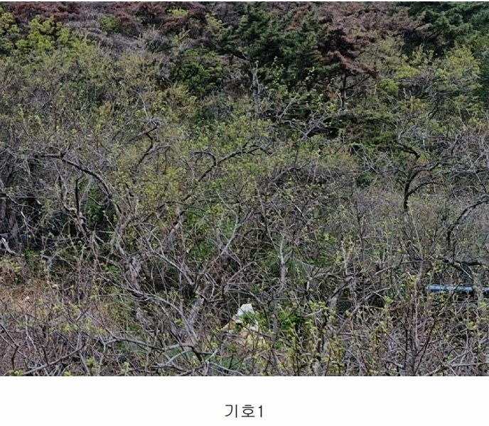 2023타경12826 경상남도 밀양시 삼랑진읍 삼랑리 201 농지 경매 이미지