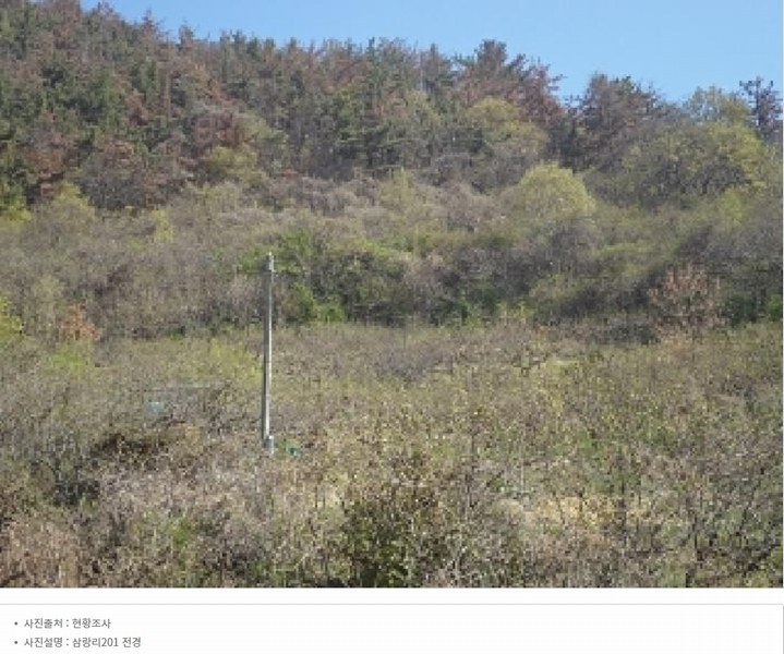 2023타경12826 경상남도 밀양시 삼랑진읍 삼랑리 201 농지 경매 이미지