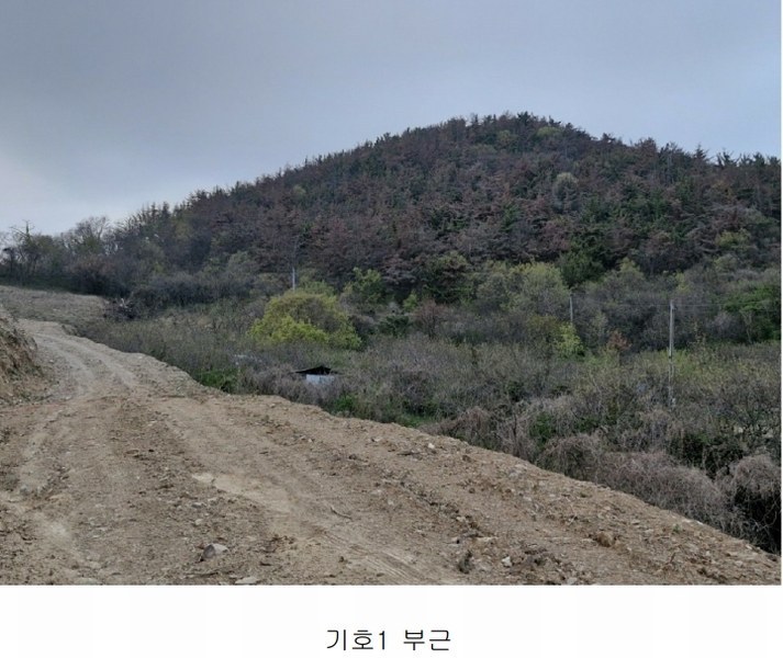 2023타경12826 경상남도 밀양시 삼랑진읍 삼랑리 201 농지 경매 이미지