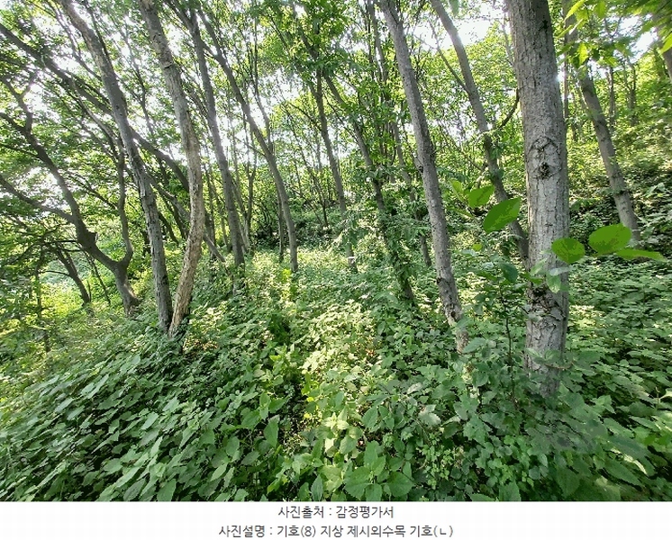2025타경634 경상남도 하동군 양보면 감당리 381-1 농지 경매 이미지