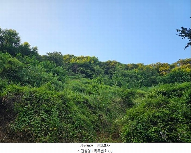 2025타경634 경상남도 하동군 양보면 감당리 381-1 농지 경매 이미지
