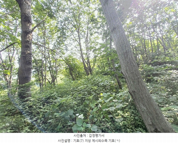 2025타경634 경상남도 하동군 양보면 감당리 381-1 농지 경매 이미지