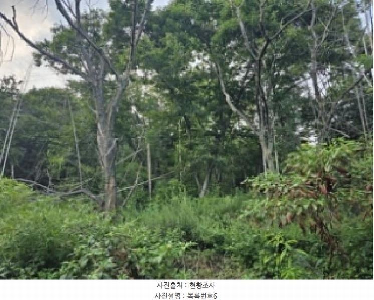 2025타경634 경상남도 하동군 양보면 감당리 343 농지 경매 이미지