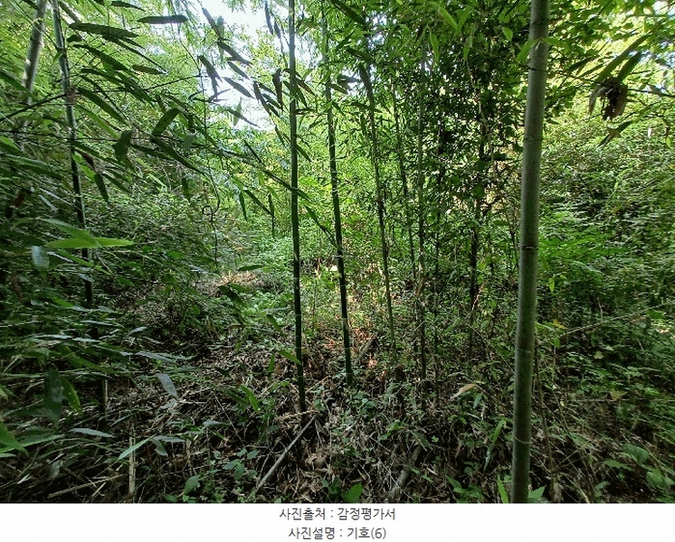 2025타경634 경상남도 하동군 양보면 감당리 343 농지 경매 이미지
