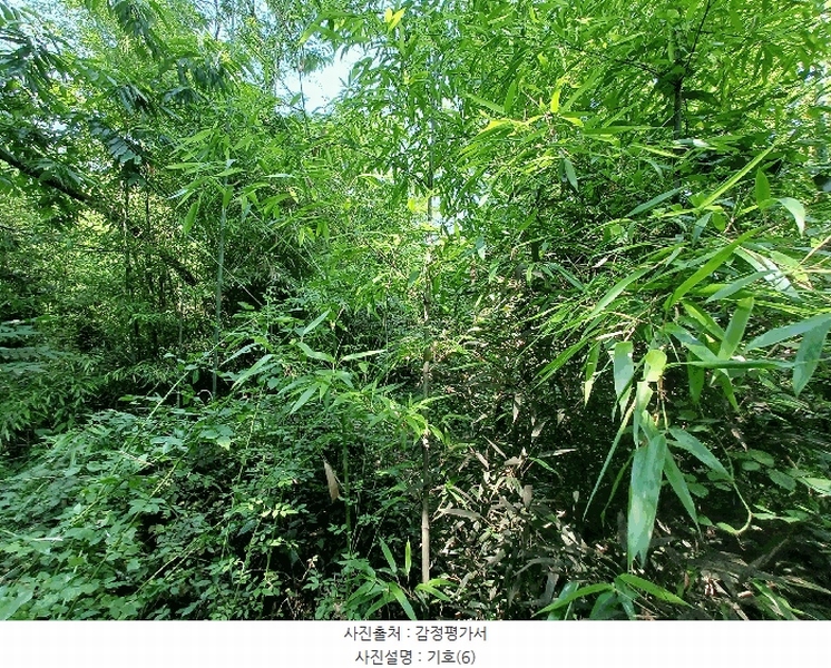 2025타경634 경상남도 하동군 양보면 감당리 343 농지 경매 이미지
