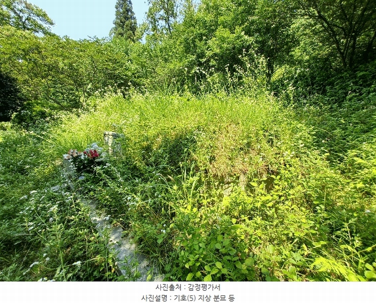 2025타경634 경상남도 하동군 양보면 감당리 288 농지 경매 이미지