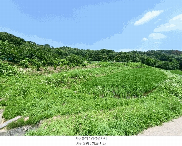 2025타경634 경상남도 하동군 양보면 감당리 283-1 농지 경매 이미지