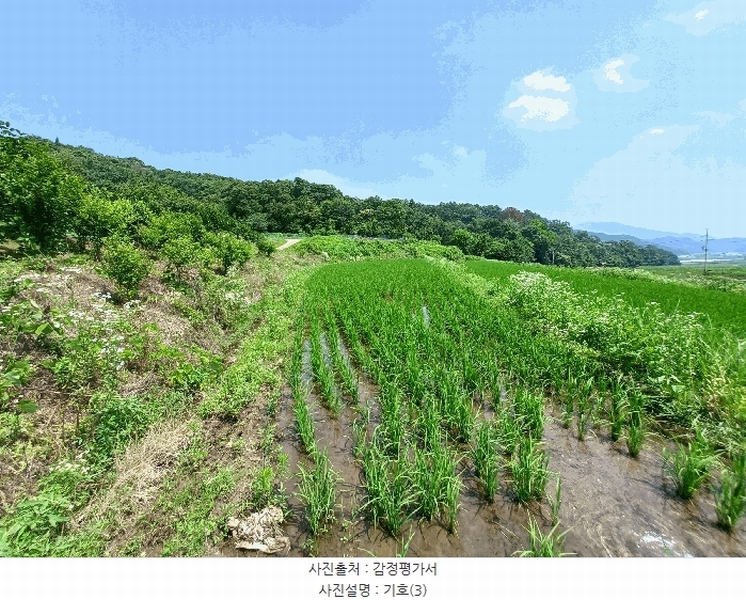 2025타경634 경상남도 하동군 양보면 감당리 283-1 농지 경매 이미지
