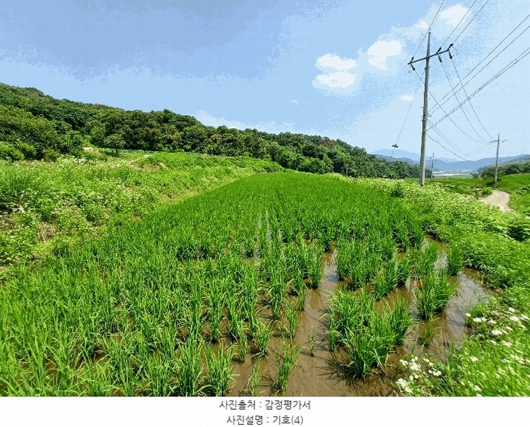 2025타경634 경상남도 하동군 양보면 감당리 283-1 농지 경매 이미지
