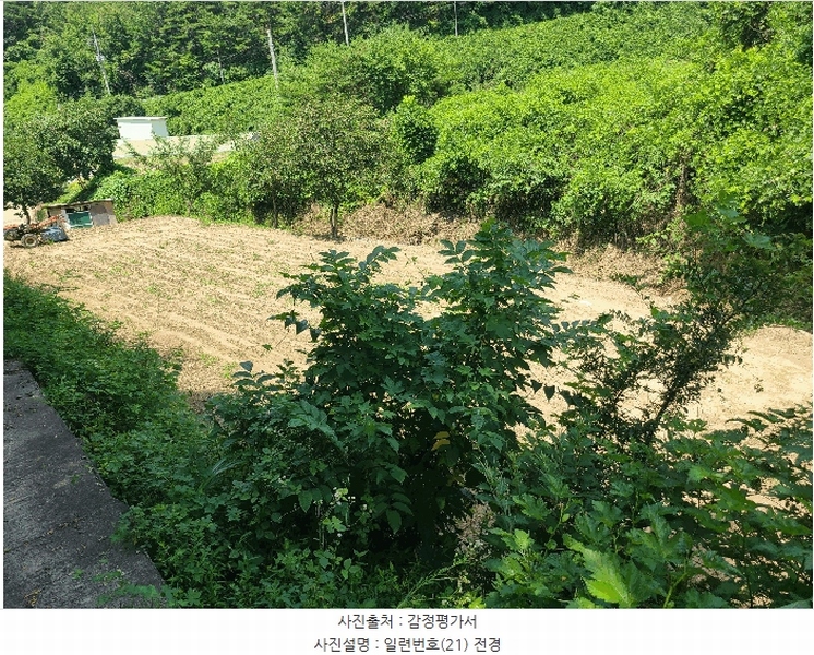 2025타경263 경상남도 의령군 지정면 득소리 608 농지 경매 이미지